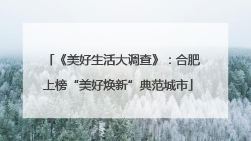 《美好生活大调查》：合肥上榜“美好焕新”典范城市