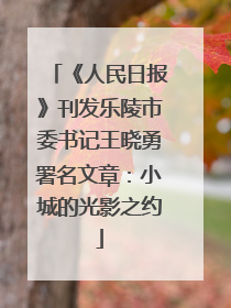 《人民日报》刊发乐陵市委书记王晓勇署名文章：小城的光影之约