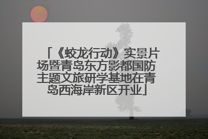 《蛟龙行动》实景片场暨青岛东方影都国防主题文旅研学基地在青岛西海岸新区开业