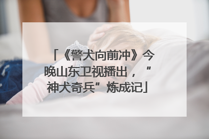 《警犬向前冲》今晚山东卫视播出，“神犬奇兵”炼成记