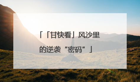 「甘快看」风沙里的逆袭“密码”