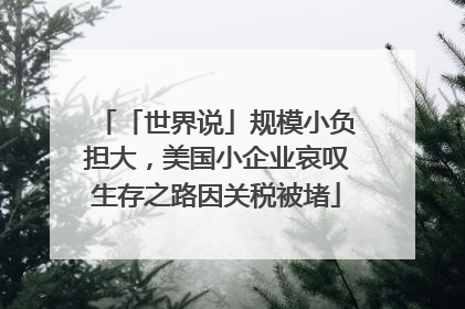 「世界说」规模小负担大，美国小企业哀叹生存之路因关税被堵