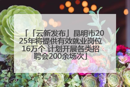 「云新发布」昆明市2025年将提供有效就业岗位16万个 计划开展各类招聘会200余场次