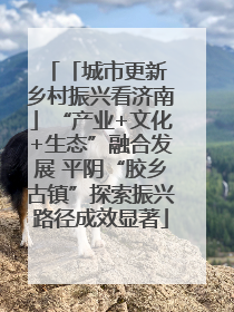 「城市更新 乡村振兴看济南」“产业+文化+生态”融合发展 平阴“胶乡古镇”探索振兴路径成效显著