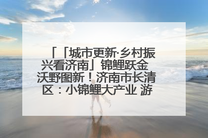 「城市更新·乡村振兴看济南」锦鲤跃金 沃野图新！济南市长清区：小锦鲤大产业 游出农旅新风景