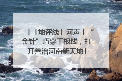 「地评线」河声丨“金针”巧穿千根线，打开善治河南新天地