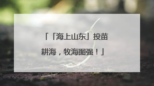 「海上山东」投苗耕海，牧海图强！