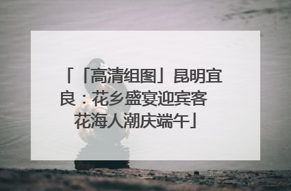 「高清组图」昆明宜良：花乡盛宴迎宾客 花海人潮庆端午