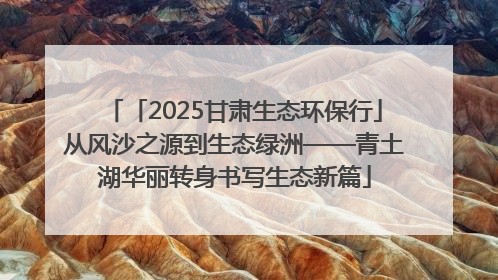 「2025甘肃生态环保行」从风沙之源到生态绿洲——青土湖华丽转身书写生态新篇