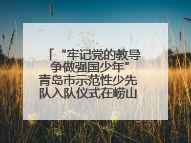“牢记党的教导 争做强国少年”青岛市示范性少先队入队仪式在崂山区举办