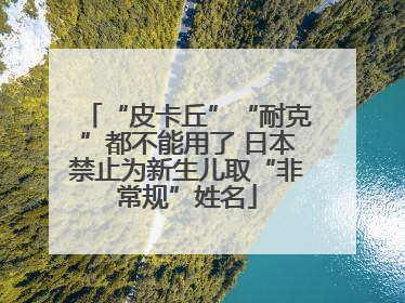 “皮卡丘”“耐克”都不能用了 日本禁止为新生儿取“非常规”姓名