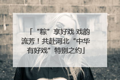 “粽”享好戏 戏韵流芳！共赴河北“中华有好戏”特别之约