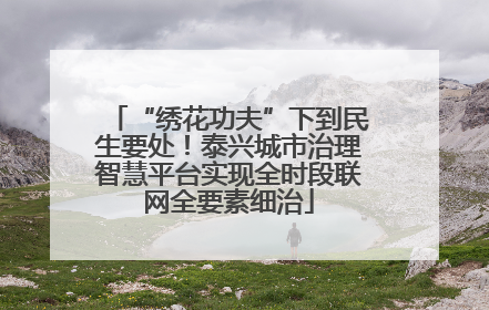 “绣花功夫”下到民生要处！泰兴城市治理智慧平台实现全时段联网全要素细治