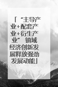 “主导产业+配套产业+衍生产业” 镇域经济创新发展释放强劲发展动能