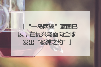“一岛两翼”蓝图已展，在复兴岛面向全球发出“杨浦之约”