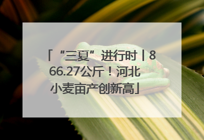 “三夏”进行时丨866.27公斤！河北小麦亩产创新高