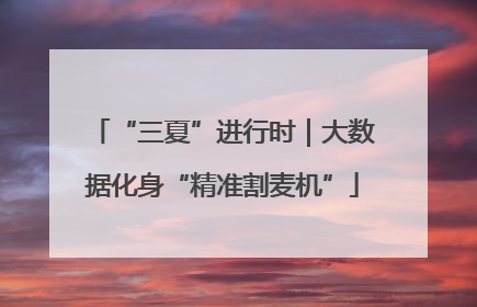 “三夏”进行时｜大数据化身“精准割麦机”