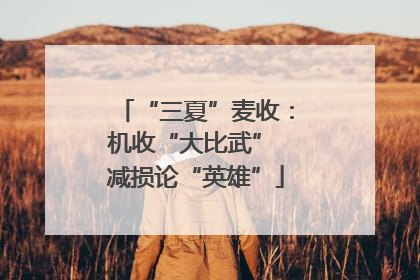 “三夏”麦收：机收“大比武” 减损论“英雄”