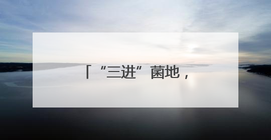“三进”菌地，“黑木耳法庭”呵护乡村梦想