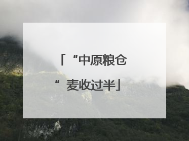 “中原粮仓”麦收过半