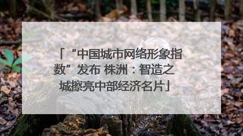 “中国城市网络形象指数”发布 株洲：智造之城擦亮中部经济名片