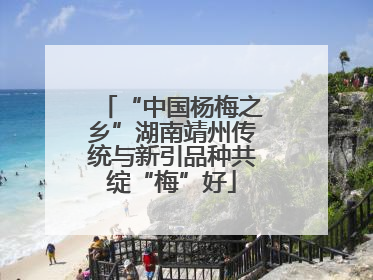 “中国杨梅之乡”湖南靖州传统与新引品种共绽“梅”好