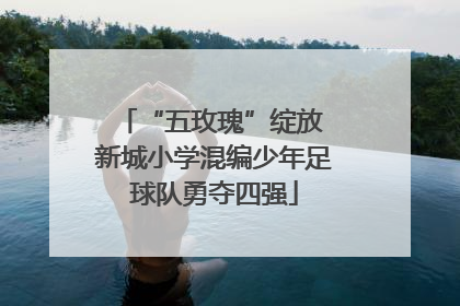 “五玫瑰”绽放 新城小学混编少年足球队勇夺四强