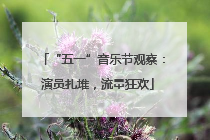 “五一”音乐节观察：演员扎堆，流量狂欢
