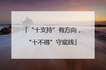 “十支持”有方向，“十不得”守底线