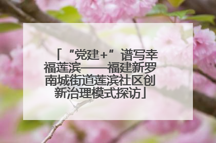 “党建+”谱写幸福莲滨——福建新罗南城街道莲滨社区创新治理模式探访