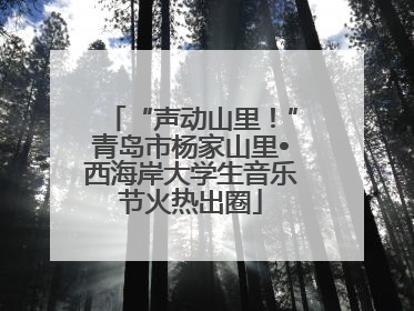 “声动山里!”青岛市杨家山里•西海岸大学生音乐节火热出圈