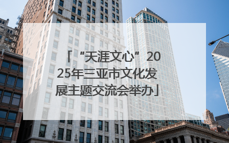 “天涯文心”2025年三亚市文化发展主题交流会举办