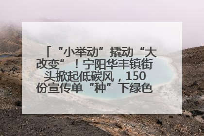 “小举动”撬动“大改变”！宁阳华丰镇街头掀起低碳风，150份宣传单“种”下绿色生活新种子