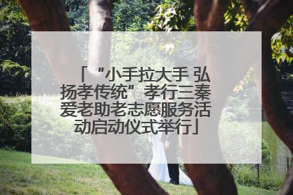 “小手拉大手 弘扬孝传统”孝行三秦爱老助老志愿服务活动启动仪式举行