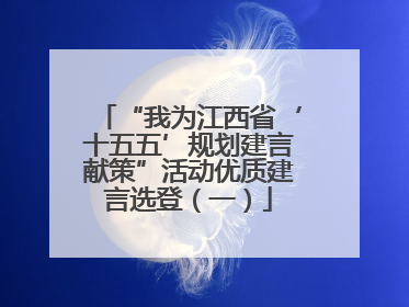 “我为江西省‘十五五’规划建言献策”活动优质建言选登（一）