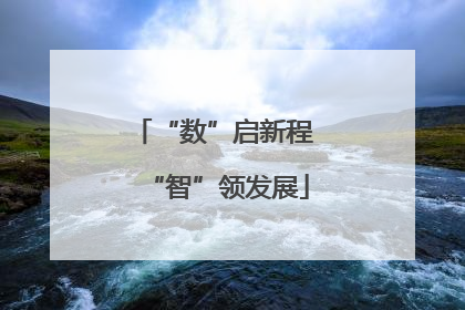 “数”启新程 “智”领发展