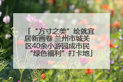 “方寸之美”绘就宜居新画卷 兰州市城关区40余小游园成市民“绿色福利”打卡地