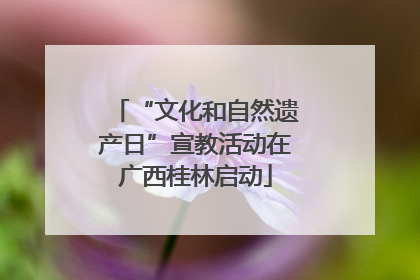 “文化和自然遗产日”宣教活动在广西桂林启动
