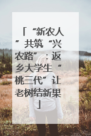 “新农人”共筑“兴农路”：返乡大学生“桃三代”让老树结新果