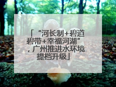 “河长制+碧道碧带+幸福河湖”，广州推进水环境提档升级