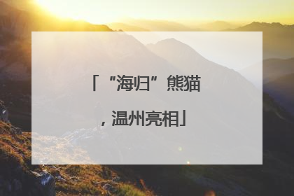 “海归”熊猫，温州亮相