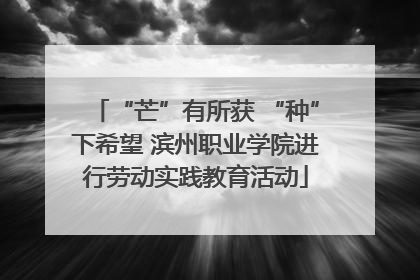 “芒”有所获 “种”下希望 滨州职业学院进行劳动实践教育活动