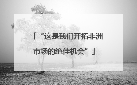 “这是我们开拓非洲市场的绝佳机会”