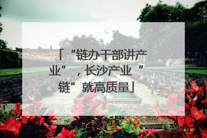 “链办干部讲产业”，长沙产业“链”就高质量