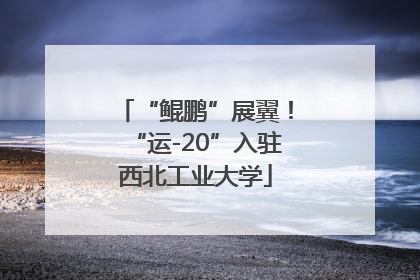 “鲲鹏”展翼！“运-20”入驻西北工业大学