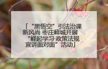 “黑悟空”引法治课新风尚 枣庄峄城开展“峄起学习·政策法规宣讲面对面”活动