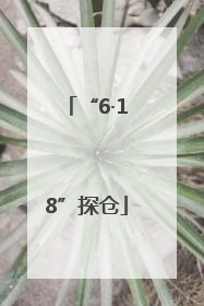 “6·18”探仓