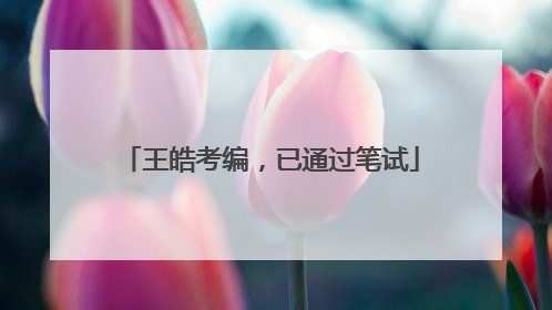 王皓考编，已通过笔试