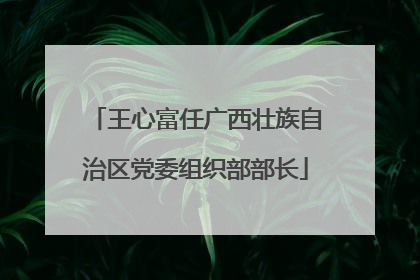 王心富任广西壮族自治区党委组织部部长