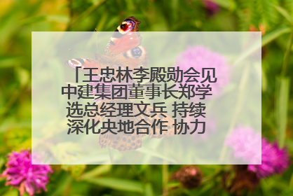 王忠林李殿勋会见中建集团董事长郑学选总经理文兵 持续深化央地合作 协力推动支点建设